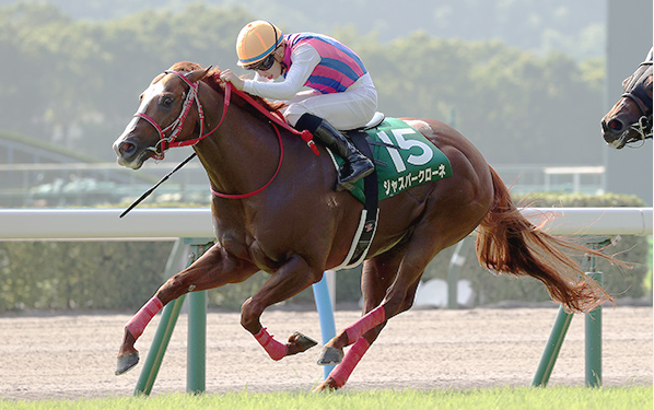 競馬の鞭は痛い？鞭の長さや名前・効果と回数のルールを解説【レプリカの探し方あり】 – クイーンカジノ